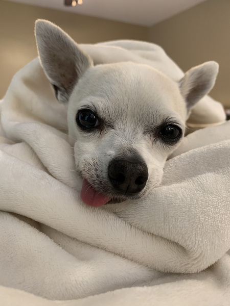 Sophie