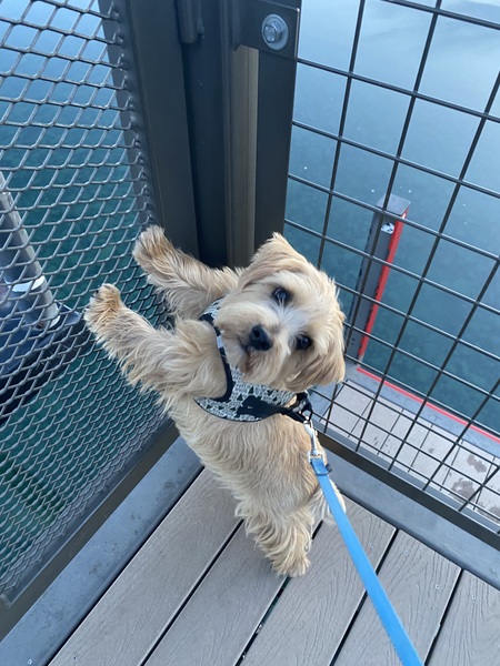 Luca 