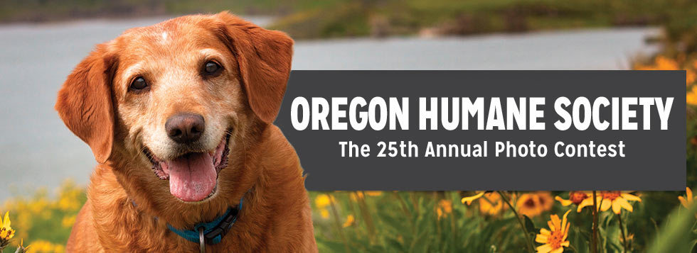Banner for Fuzzy, Feathered and Furry Friends Photo Contest