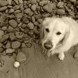 Entry image for OTTO