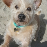 Entry image for Stitch