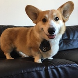 Entry image for Scholes