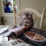 Entry image for Nicky Snickerdoodle Silver