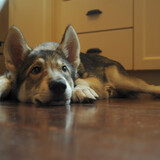 Entry image for Navarre