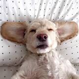 Entry image for George