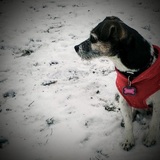 Entry image for Haylee