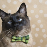 Entry image for Clive