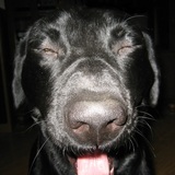 Entry image for Hunter