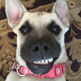 Entry image for Lucy