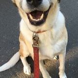 Entry image for Lucille