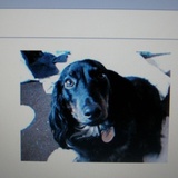 Entry image for Charley