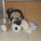 Entry image for Henry