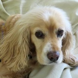 Entry image for Hanna