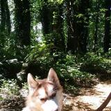 Entry image for Blaze 