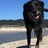 Entry image for Duke