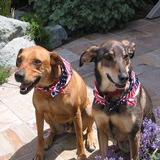 Entry image for Zach and Sarina