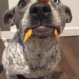 Entry image for Cali