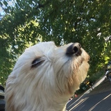 Entry image for Maggie 