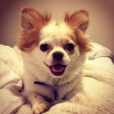 Entry image for Lucy