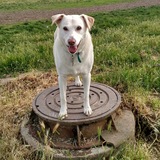 Entry image for Patrick 