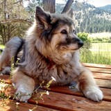 Entry image for Vera