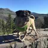 Entry image for Zeus