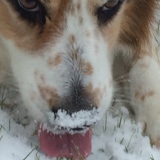 Entry image for Abby