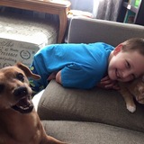 Entry image for Scotch (dog) Olaf (cat) adopted from OHS