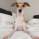 Entry image for Norah