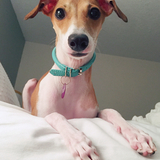 Entry image for Norah