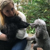 Entry image for Holly and Pilot