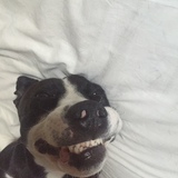 Entry image for Wee-Bey