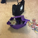 Entry image for Rudy