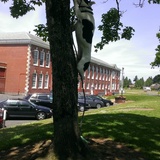 Entry image for Tane