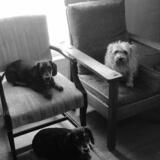 Entry image for Wally, Stella and Roy