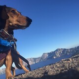 Entry image for Haddie Mae 