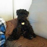 Entry image for Klaus