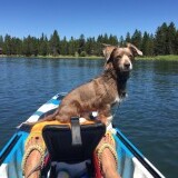 Entry image for Raffi