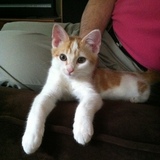 Entry image for Timex