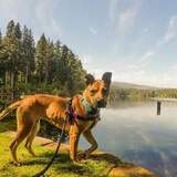 Entry image for Tandy Crouch