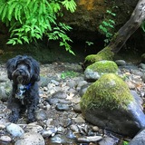 Entry image for Otto 