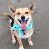 Entry image for Violet