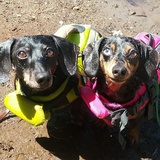 Entry image for Ernie & Evie