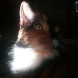 Entry image for Billy