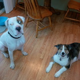 Entry image for Hulk and Leela