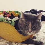 Entry image for Mothers