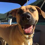 Entry image for Wyatt