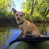 Entry image for Woodford