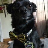 Entry image for Tucker