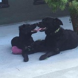 Entry image for Cash & Deliliah